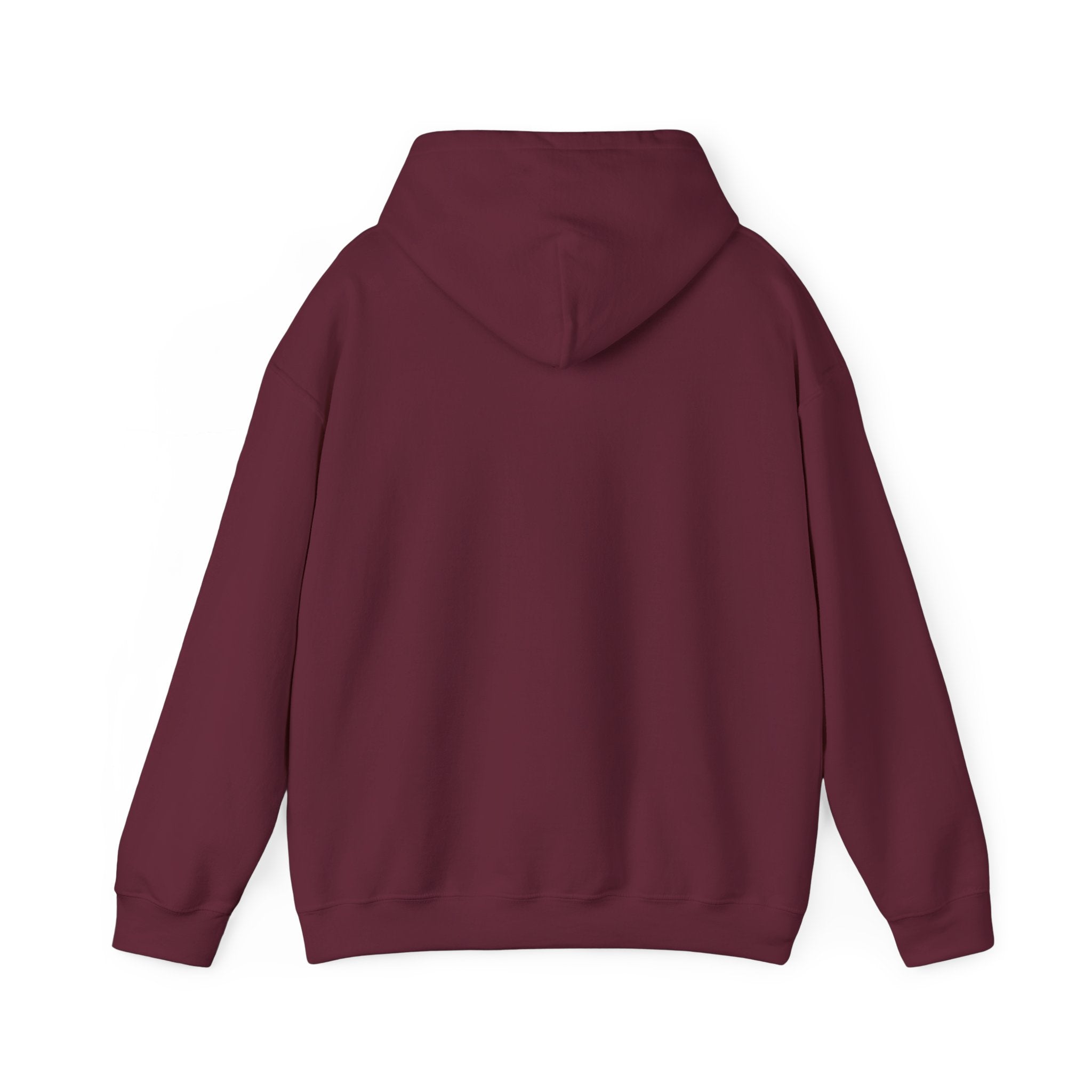 Hug Comfort Hoodie - 'Someone Else’s Jacket' Photo Graphic Sweatshirt
